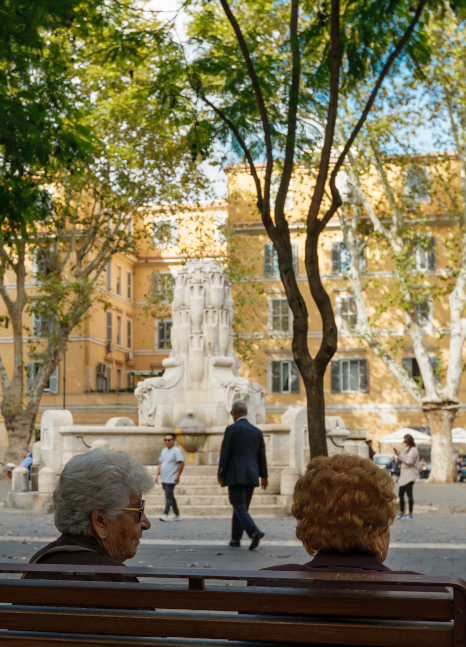Spiegels van Rome - hoofdstuk 1 Veerkracht